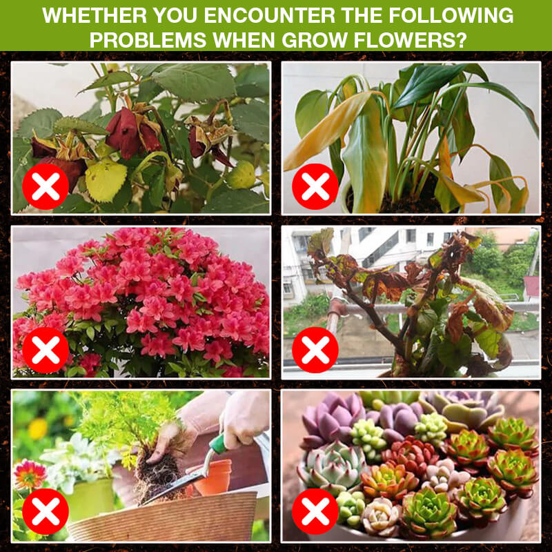 🌿💧 Pflanzennahrung Bio-Wachstumsbooster 🌱⚡ für üppiges Grün & starke Wurzeln, flüssiger Dünger für alle Pflanzen, 250ml Konzentrat