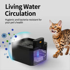 🐾💧 Kabelloser, geräuscharmer Katzenbrunnen 2,2L mit Bewegungssensor 🚰🐱 Batteriebetriebener Trinkbrunnen für Hunde & Katzen. Fördert die Wasseraufnahme, ideal für Haushalte mit mehreren Haustieren. Einfache Reinigung.