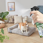 🐛 🐛POWER-INSEKTENSPRAY - Sofortige Wirkung gegen Fliegen/Mücken🌿🌿Geruchsneutral & Hautfreundlich, Ideal für Haus und Garten