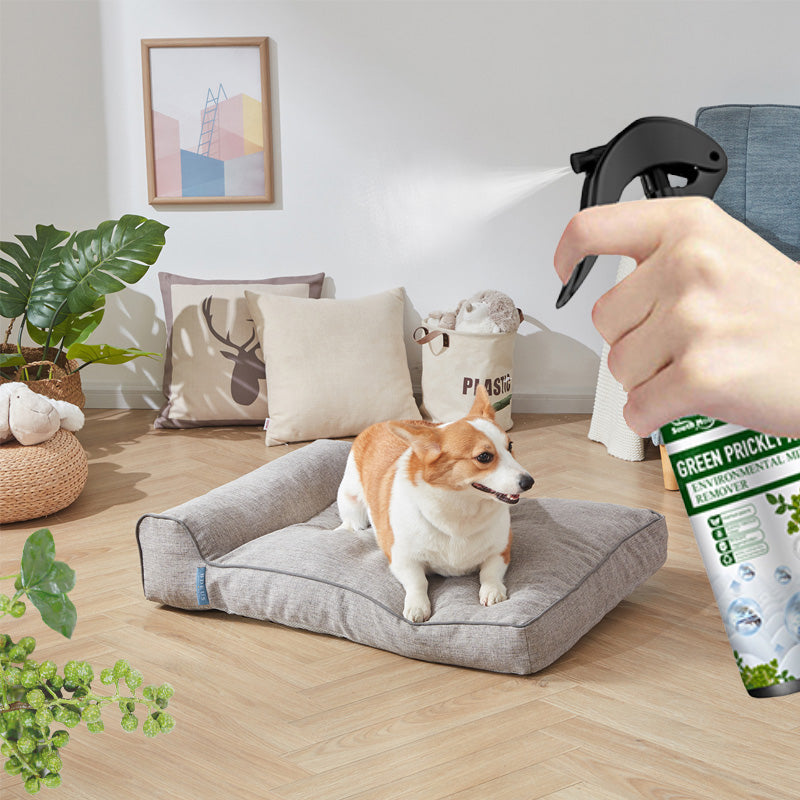 🐛 🐛POWER-INSEKTENSPRAY - Sofortige Wirkung gegen Fliegen/Mücken🌿🌿Geruchsneutral & Hautfreundlich, Ideal für Haus und Garten