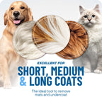 🐾🐾 Doppelpack-Spardeal: 2 kaufen, 1 gratis! 🧼🐱 Professionelles Fellpflege-Enthaarungstool für Hunde & Katzen – entfernt sanft lose Haare, schonend zur Haut, leicht zu reinigen.
