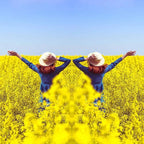 Spiegeleffekt-Objektiv – Nehmen Sie atemberaubende Reflexionen sofort auf🎁20% Rabatt auf das Zweite✈️2 oder mehr: kostenloser Versand