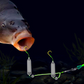 🎣⚡ Doppelhaken-Reverse-Bottom-Rig – 56 % mehr Bisse, kein Hängenbleiben! ⚡🎣 Optimiertes Vorfach-System für Grundangler – maximale Hakenquote, sauber aus jedem Hindernis.