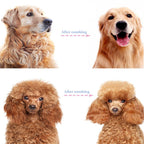 🐾🐾 Doppelpack-Spardeal: 2 kaufen, 1 gratis! 🧼🐱 Professionelles Fellpflege-Enthaarungstool für Hunde & Katzen – entfernt sanft lose Haare, schonend zur Haut, leicht zu reinigen.