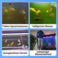🚀💧Wasserreinigungstablette für Aquarien kaufen 5 und erhalten 5 gratis♻️💧 – Leistungsstarke Reinigung, klares Wasser, gesunde Fische