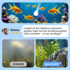 🚀💧Wasserreinigungstablette für Aquarien kaufen 5 und erhalten 5 gratis♻️💧 – Leistungsstarke Reinigung, klares Wasser, gesunde Fische