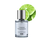 Intelligenter, mit Ultraschall zerstäubter Auto-Lufterfrischer