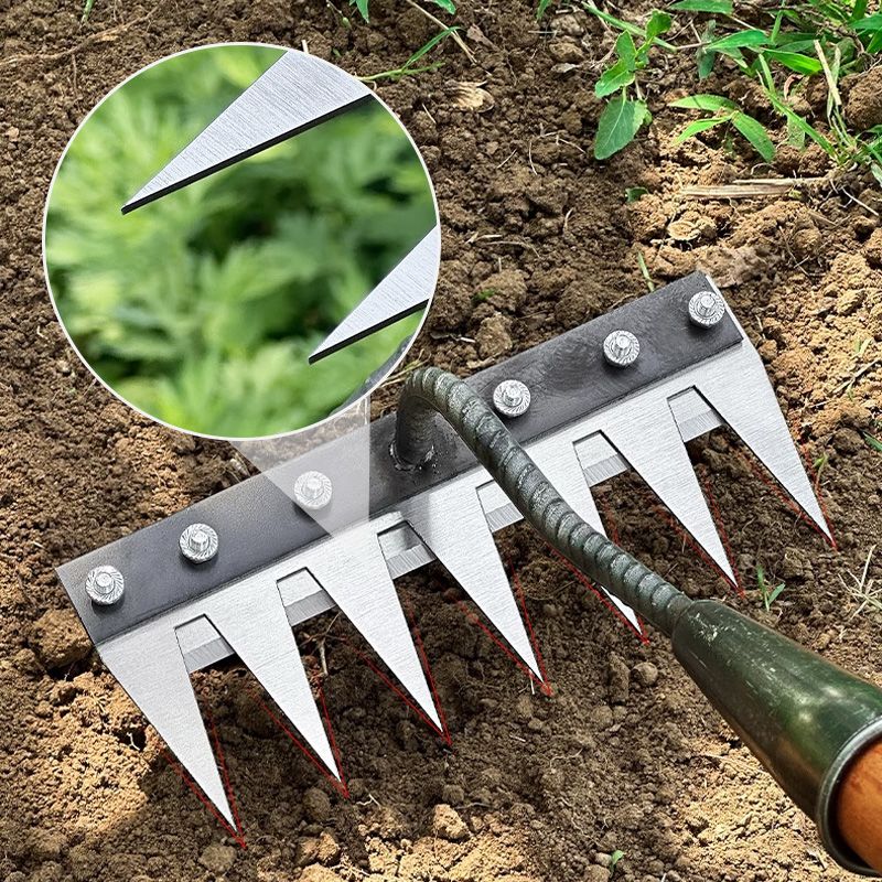 🔥🌿 Nur für kurze Zeit 62% Rabatt! 🌱 Unkrautrechen aus Kohlenstoffstahl mit 5/6/7/8 Zinken – liegt gut in der Hand, rechnet das Unkraut bis zum Boden ab und zieht es mit der Wurzel heraus! 🧤✨