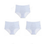 Auslaufsichere Höschen aus Eisseide mit hoher Taille, Übergröße L-5XL