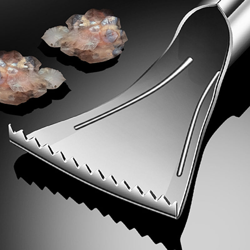 🔥HEISSER VERKAUF🔥Scharfer Fischentschupper aus Edelstahl