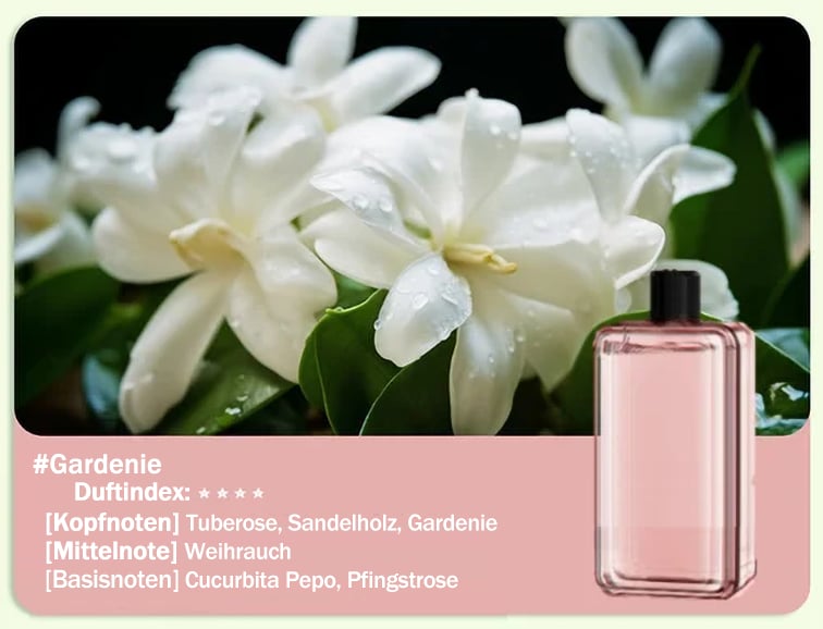 Automatischer Aromatherapie Diffusor