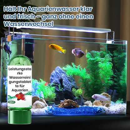 🌊💦 Kristallklar in Minuten: Diese Tabletten revolutionieren Ihr Aquarienwasser! 🐠✨ Nie mehr Algen, natürlich & nachhaltig.
