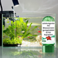 🌊💦 Kristallklar in Minuten: Diese Tabletten revolutionieren Ihr Aquarienwasser! 🐠✨ Nie mehr Algen, natürlich & nachhaltig.