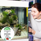 🌊💦 Kristallklar in Minuten: Diese Tabletten revolutionieren Ihr Aquarienwasser! 🐠✨ Nie mehr Algen, natürlich & nachhaltig.