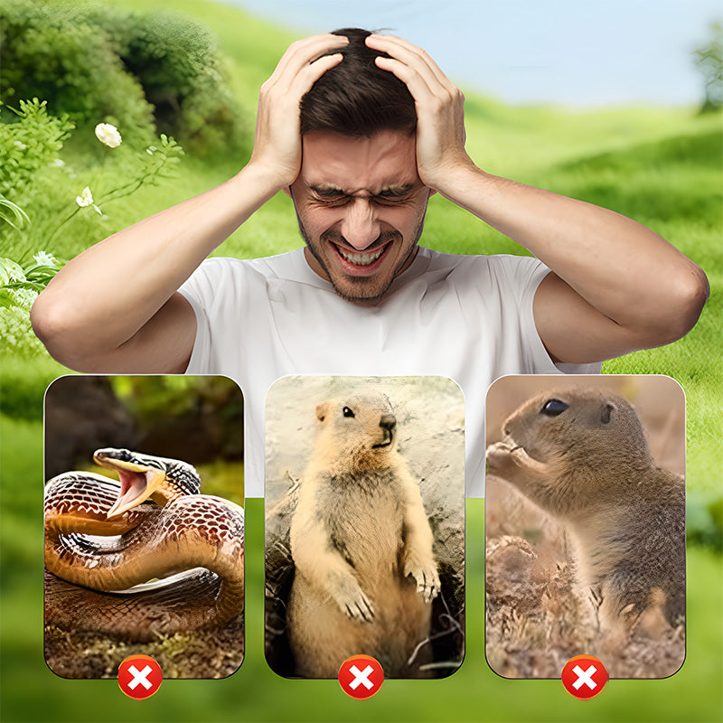 🐭🌞 Solarbetriebene, wasserdichte Schraub-Wühlmausschreck – 🚫🔊 effektiv gegen Wühlmäuse, 24/7 Schutz für Rasen & Beete, kein Gift, einfach schrauben. Jetzt sparen!