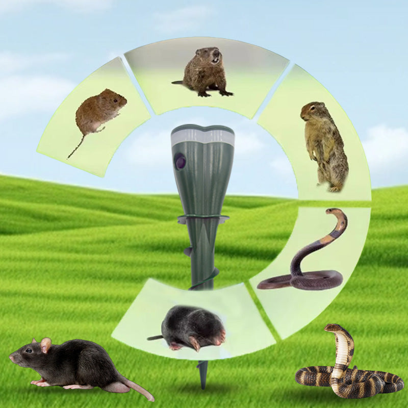 🐭🌞 Solarbetriebene, wasserdichte Schraub-Wühlmausschreck – 🚫🔊 effektiv gegen Wühlmäuse, 24/7 Schutz für Rasen & Beete, kein Gift, einfach schrauben. Jetzt sparen!