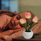 🌷✨ Echte-Touch-Tulpen-LED-Lampe: Sanftes Licht & stylische Deko für ein gemütliches Zuhause! 💡🌿
