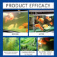 ⏳Begrenzte Zeit 50% Rabatt💥🐟Kraftvoller Aquarienwasserreiniger🪸