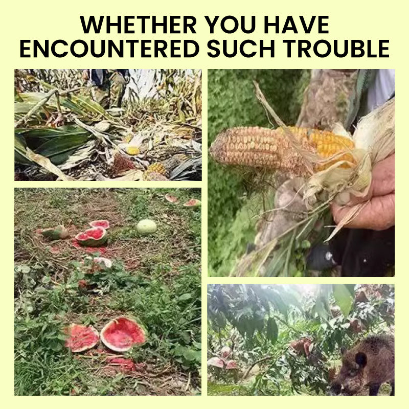 🔥Bleiben Sie im Freien sicher✅Solarbetriebene Tierabwehr-Warnlichter mit lautem Alarm