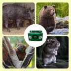 🔥Bleiben Sie im Freien sicher✅Solarbetriebene Tierabwehr-Warnlichter mit lautem Alarm