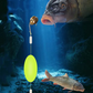 🎣⚡ Doppelhaken-Reverse-Bottom-Rig – 56 % mehr Bisse, kein Hängenbleiben! ⚡🎣 Optimiertes Vorfach-System für Grundangler – maximale Hakenquote, sauber aus jedem Hindernis.