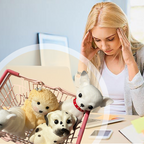 Niedliches Hunde-Anti-Stress-Squeeze-Spielzeug