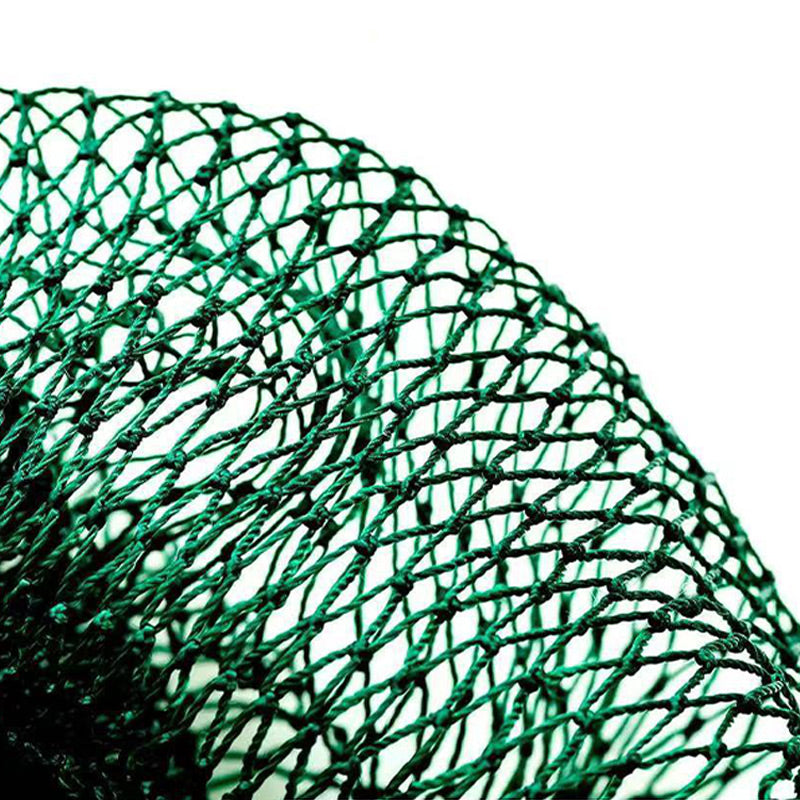 ⏰Zeitlich begrenzte Aktion 49% Rabatt🔥Effektive entfettende Netz-Badebürste🛁