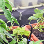 💦🌿 Smartes Sprinkler-Set – Verstellbare Düsen, flexibler Schlauch, 360°-Abdeckung 💧⚙️ Komplettset für Rasen & Beet, wassersparend, Dauerregen-Effekt. 50% RABATT – begrenzte Zeit!
