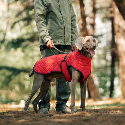 🐕🐕2025 neuestes Modell 🌈🌈Winter-Reflexmantel für Hunde im Freien