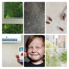 Selbstklebende Bürstendichtung für Türspalten