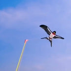 🎣🪁Innovative Angelruten-Drachen✨✨Einfach steuern, endloser Outdoor-Spaß für Kinder!