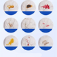 🧥🧴 Zwei kaufen, eins gratis! 🧼✨ Wasserfreier Daunenjacken-Fleckenentferner mit Bürste – Schnell, schonend, nachhaltig. Ideal für unterwegs und schonend zu empfindlichen Materialien. 🛡️🌟