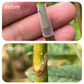 🌳✨ Silikon-Veredelungshülsen: Flexibel & wetterbeständig – fördert das Anwachsen Ihrer Obstbäume nachhaltig und effektiv! 🌱🛠️