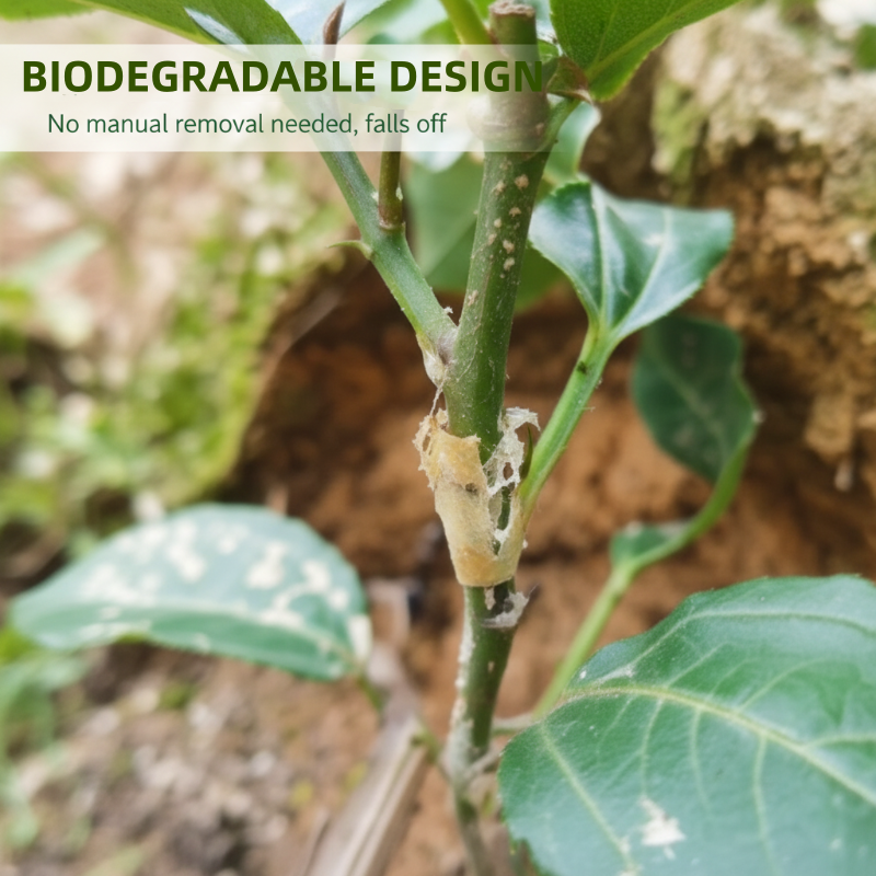 🌳✨ Silikon-Veredelungshülsen: Flexibel & wetterbeständig – fördert das Anwachsen Ihrer Obstbäume nachhaltig und effektiv! 🌱🛠️