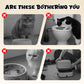 🚽😺 Katzen-Napf Toilette Design: Hygienisch & Platzsparend mit Edelstahlschüssel & Staubschutz - Wandmontage ohne Bohren, praktischer Stauraum für Zubehör!