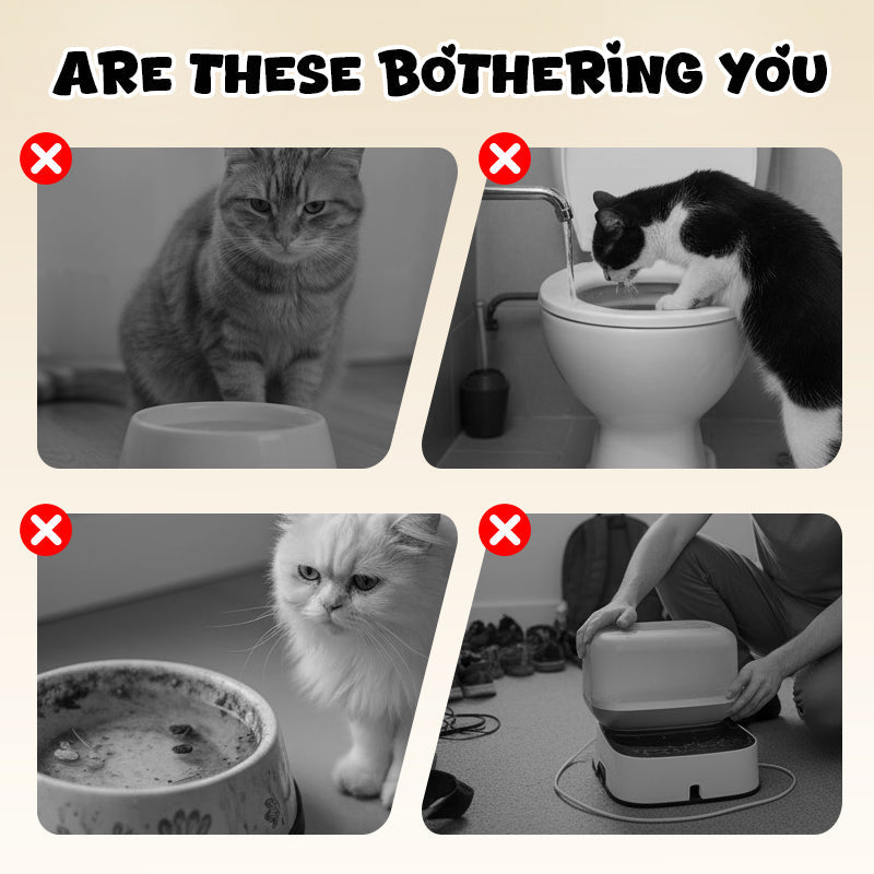 🚽😺 Katzen-Napf Toilette Design: Hygienisch & Platzsparend mit Edelstahlschüssel & Staubschutz - Wandmontage ohne Bohren, praktischer Stauraum für Zubehör!