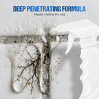 🦠🚫 500ml Spray gegen Schimmel & Stockflecken – Entfernt zuverlässig, beugt vor & schützt nachhaltig. ✨🛡️ Effektiv & umweltbewusst für ein gesundes Zuhause.