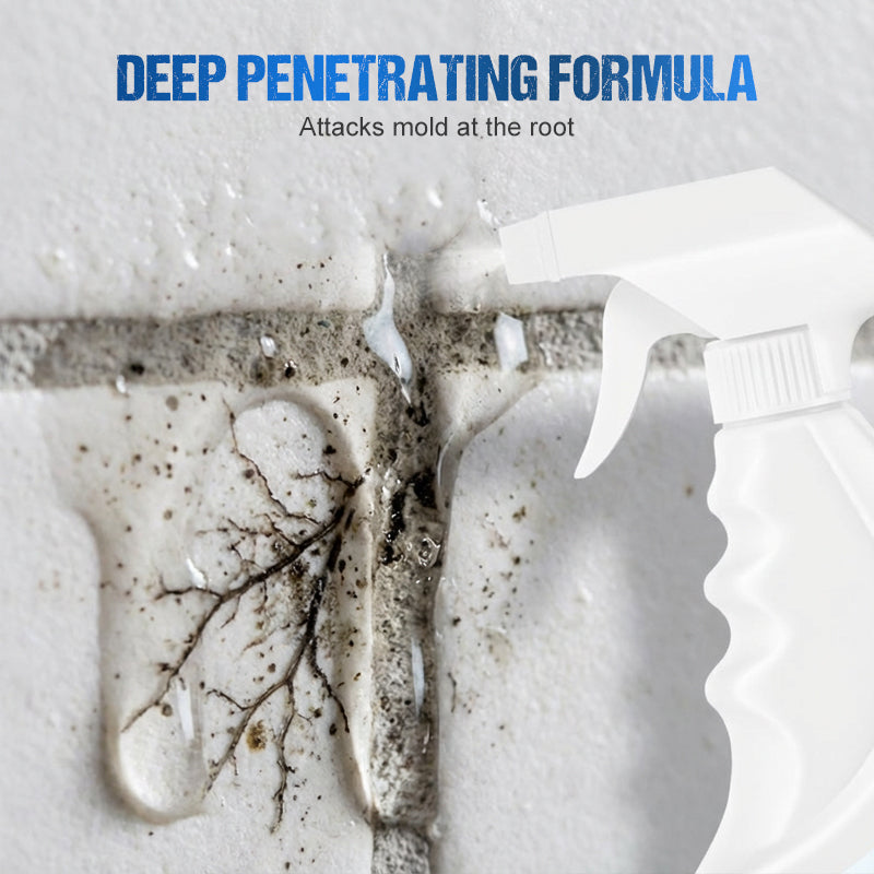 🦠🚫 500ml Spray gegen Schimmel & Stockflecken – Entfernt zuverlässig, beugt vor & schützt nachhaltig. ✨🛡️ Effektiv & umweltbewusst für ein gesundes Zuhause.