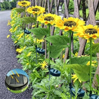 🌻☀️ GIRASOLE SOLARE 50% RABATT! 🌻✨ Lebensechte Blüten, IP65 wasserdicht & automatische Dämmerungssensor (8-12h Leuchtdauer)