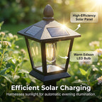 🌿☀️ Solar-Blumentopfleuchte 2-in-1 – warmweißes Licht, wetterfest für Garten & Terrasse, energiesparend, dekorativ 🌟✨ Überzeugende Optik & Funktion – perfekt für den Eingangsbereich – jetzt entdecken!