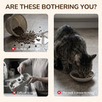 🐾🛡️ Rutschfester, erhöhter Futtertrog mit 3 Schalen – sicheres, komfortables Fressen für Hunde & Katzen 😺🍽️ Ohne Verschütten, schont Gelenke – perfekt für Mehrfachhaustiere. Sofort bereit für tägliche Mahlzeiten!