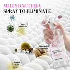 🔥🧴 50 % Rabatt – Pflanzenextrakt-Spray: antibakteriell & milbenabwehrend für Matratzen, Sofas & Teppiche ✨🛏️