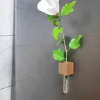 🧲🌳 Magnetische Holz-Vase mit Reagenzglas – schwebend, platzsparend, rustikal-modern 💧🔬 Ideal für Kräuter, Schnittblumen & DIY-Deko – einfach an Kühlschrank, Heizung oder Metallregal haften.