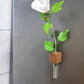 🧲🌳 Magnetische Holz-Vase mit Reagenzglas – schwebend, platzsparend, rustikal-modern 💧🔬 Ideal für Kräuter, Schnittblumen & DIY-Deko – einfach an Kühlschrank, Heizung oder Metallregal haften.