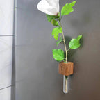 🧲🌳 Magnetische Holz-Vase mit Reagenzglas – schwebend, platzsparend, rustikal-modern 💧🔬 Ideal für Kräuter, Schnittblumen & DIY-Deko – einfach an Kühlschrank, Heizung oder Metallregal haften.