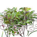 ✨🌸 Hochbelastbarer Blumenstützrahmen – Robuster Rankhilfe für Schwerlastblüten & Stauden 🌿💪 – Witterungsbeständig, einfach aufbaubar, ideal für Rosen & hohe Pflanzen – Jetzt blühende Gärten sichern!