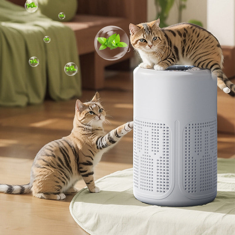 🌬️🔥 50% RABATT – 2026 BESTSELLER 🏠✨ Kompakter Luftreiniger gegen Allergien, flüsterleise, stromsparend – ideal für Schlafzimmer & Wohnzimmer