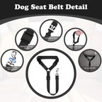 🐕🦺 Sicherheitsgurt & Leine 2-in-1 – Auto, Zug, Spazieren 🐾🐕 verstellbar, reflektierend, crashgetestet – für ruhige & aktive Hunde – JETZT sparen!