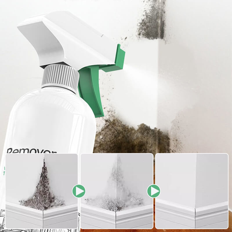 Schimmelentfernungsspray