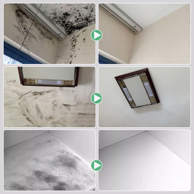 Schimmelentfernungsspray